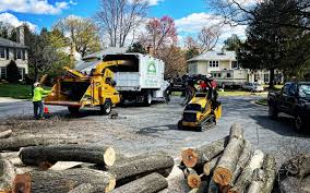 Reliable Tulsa, OK Tree Care  Solutions